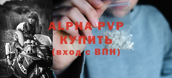 сатива Бородино