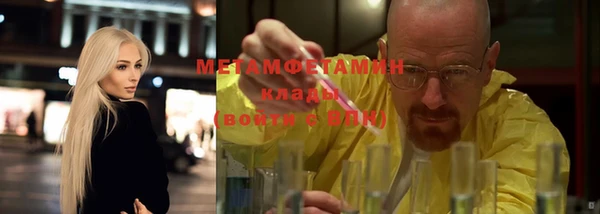 сатива Бородино