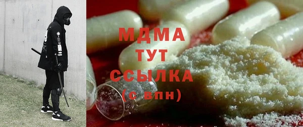 прущие грибы Переславль-Залесский