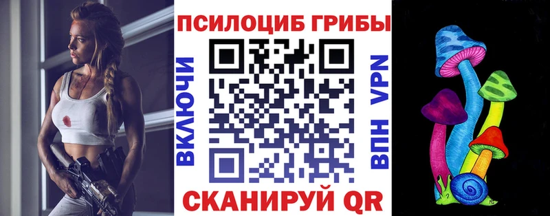 Галлюциногенные грибы ЛСД  Купить где  Шахунья 