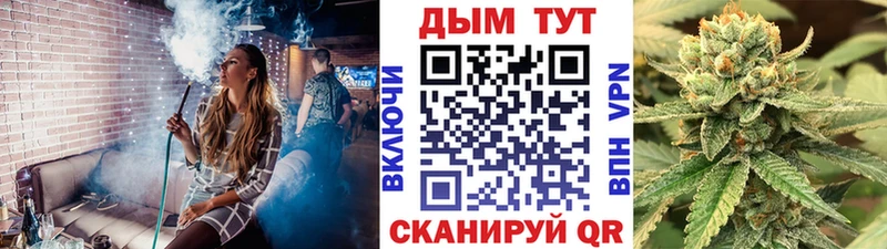 Канабис AK-47 Купить закладки Шахунья